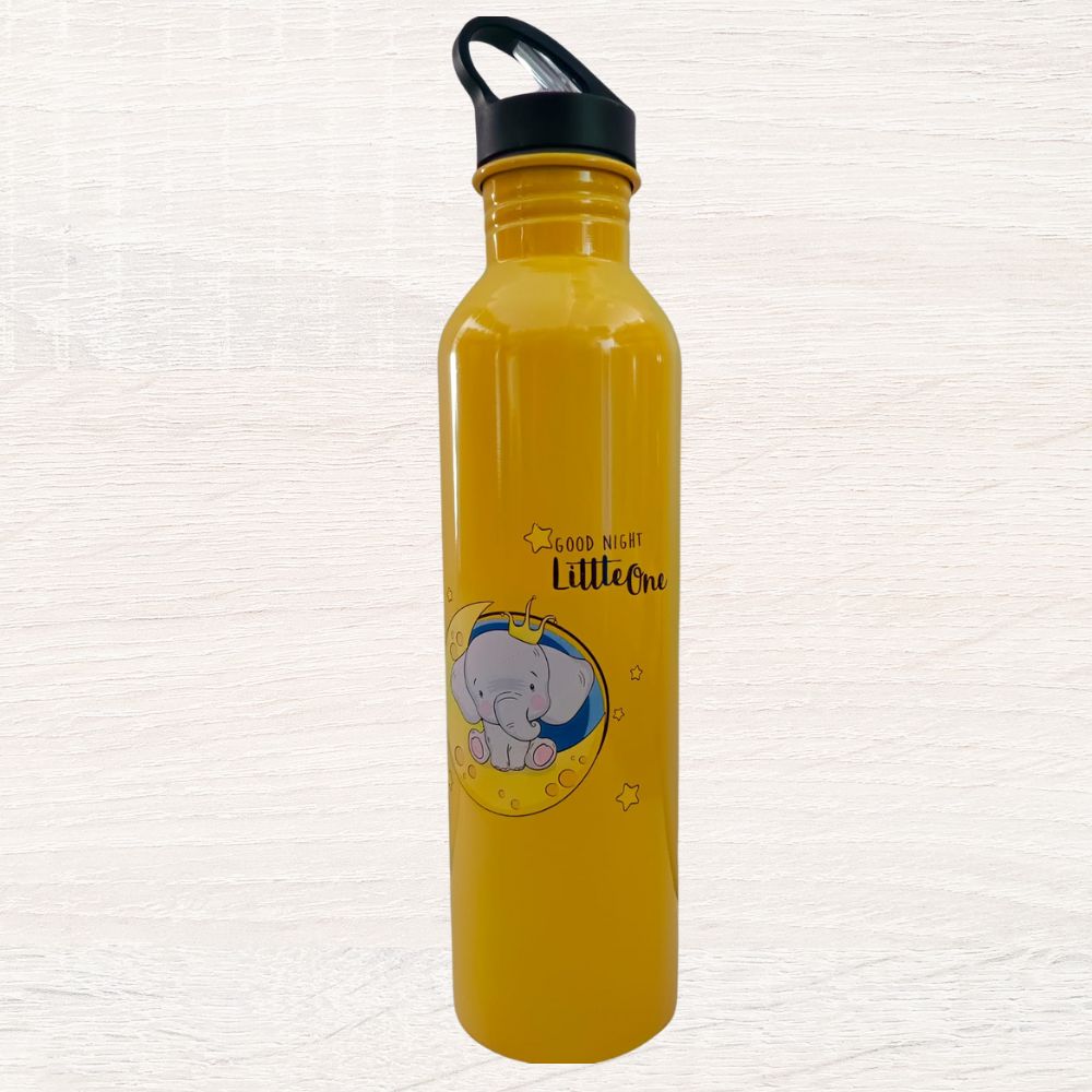 EcoKid's Water Bottle