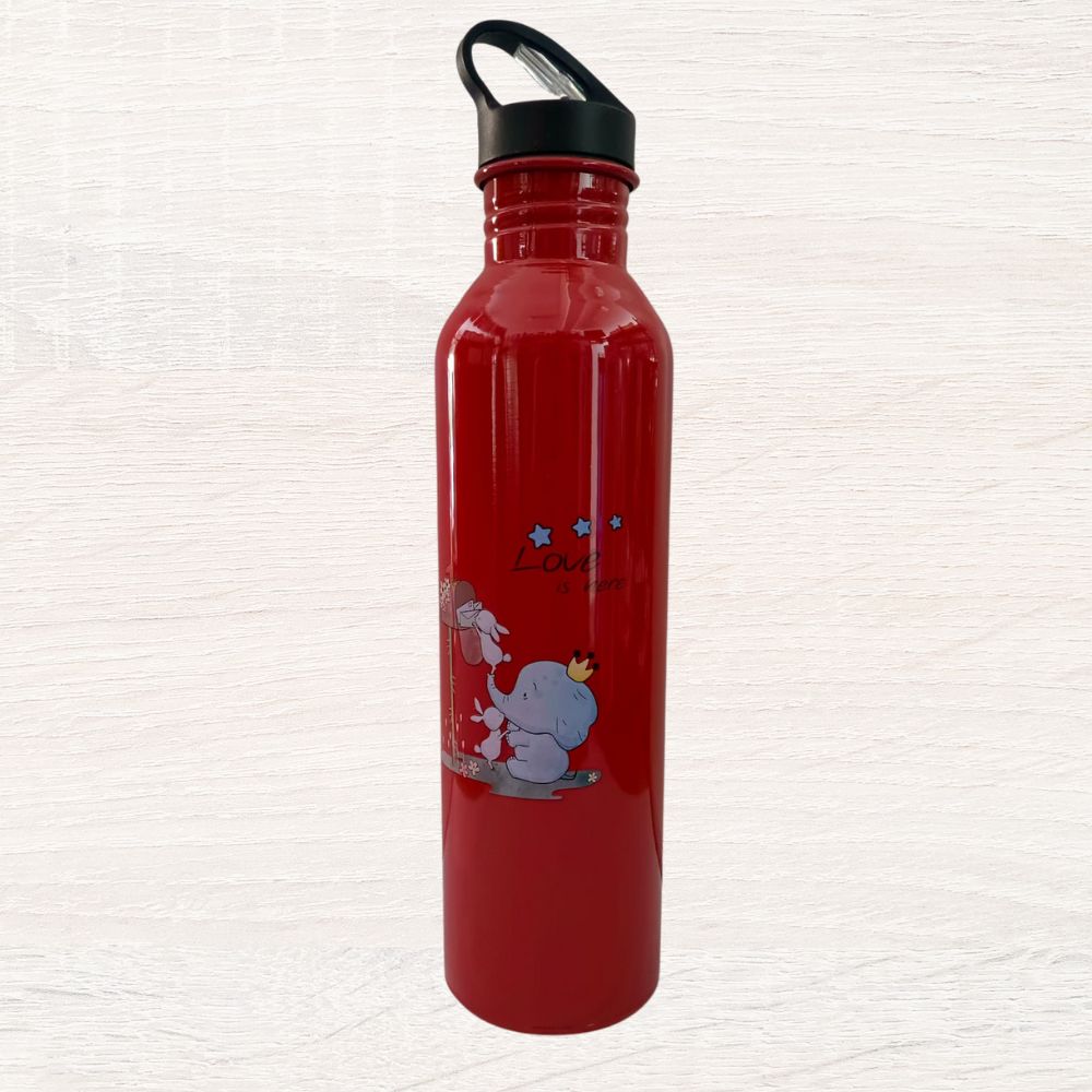 EcoKid's Water Bottle