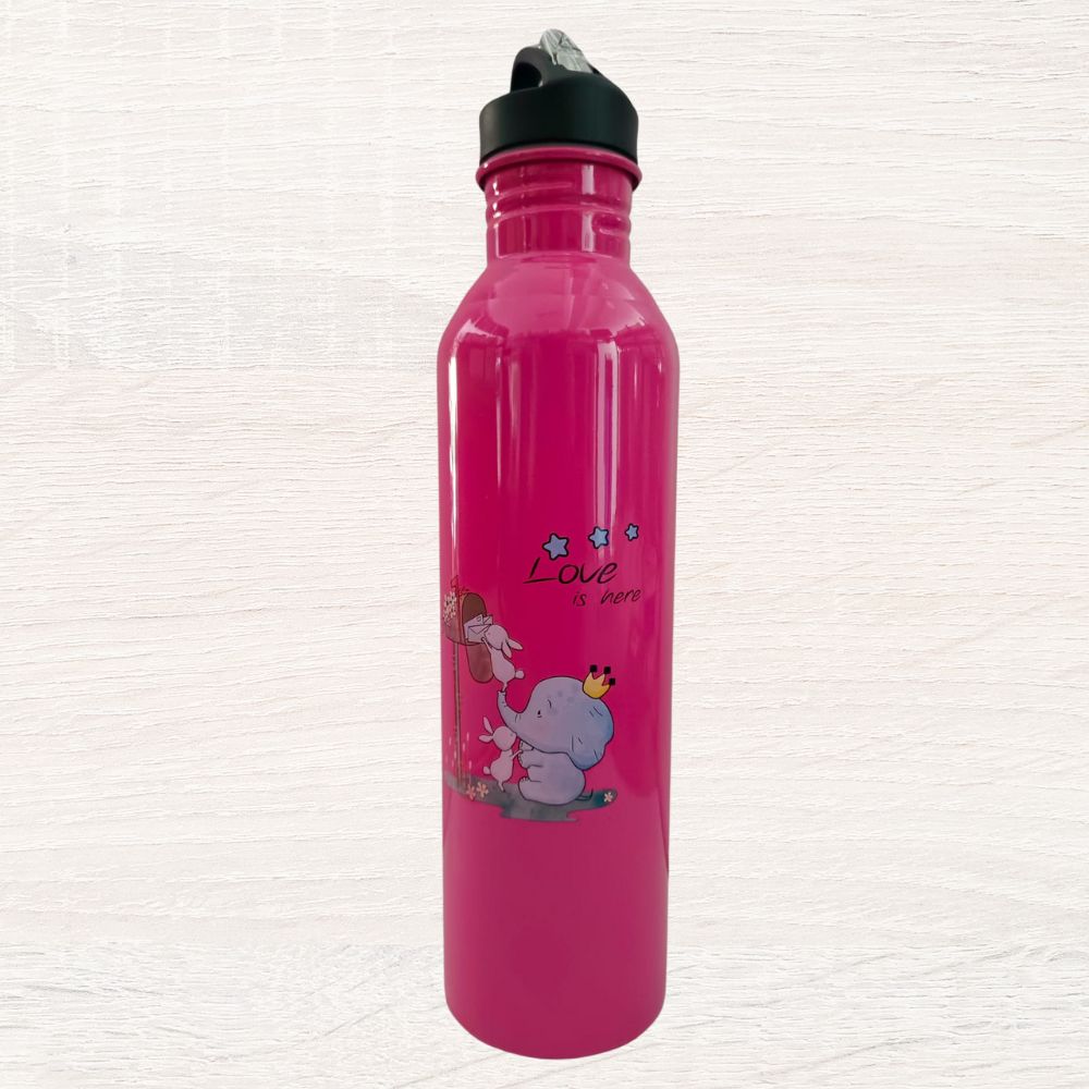 EcoKid's Water Bottle