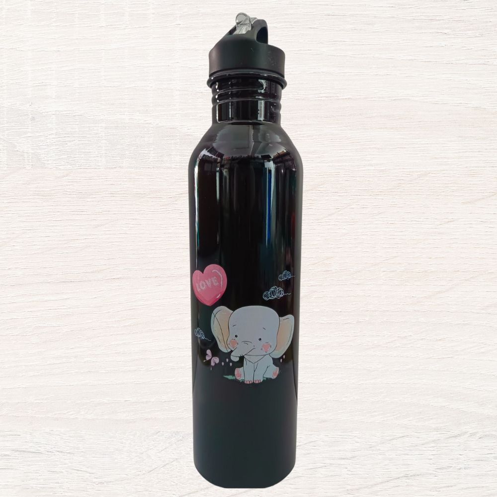 EcoKid's Water Bottle